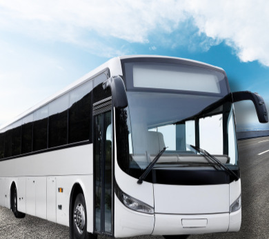 서울25인승관광버스